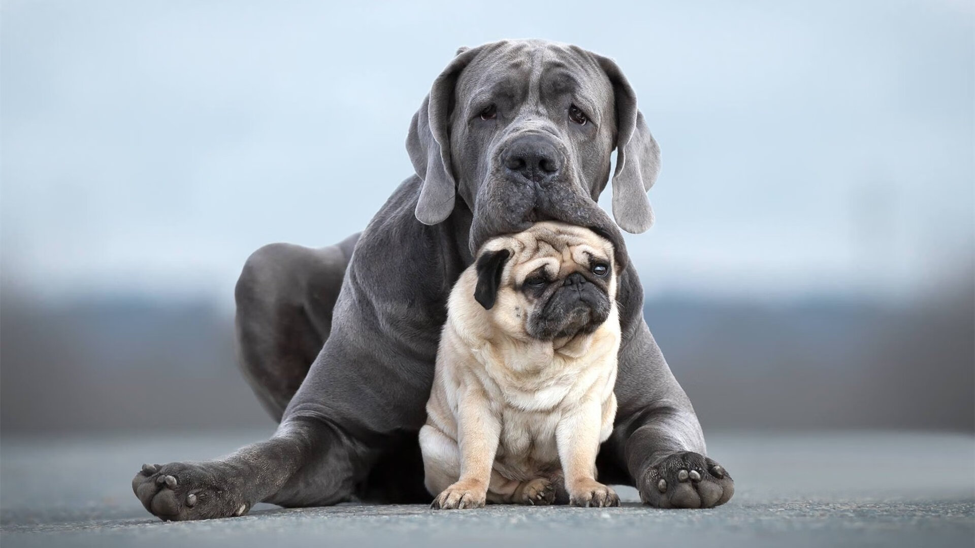 体育明星创业项目频现科技元素，体育明星商业化