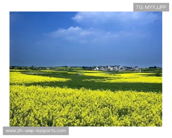 F1赛事绿色倡议推动可持续发展实践落地